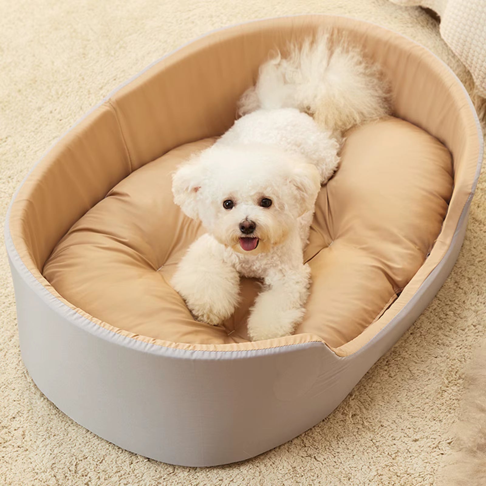 comfortable pet bed, non-slip bottom, washable